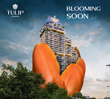 Tulip Towers SMM