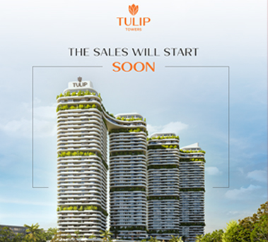 Tulip Towers SMM