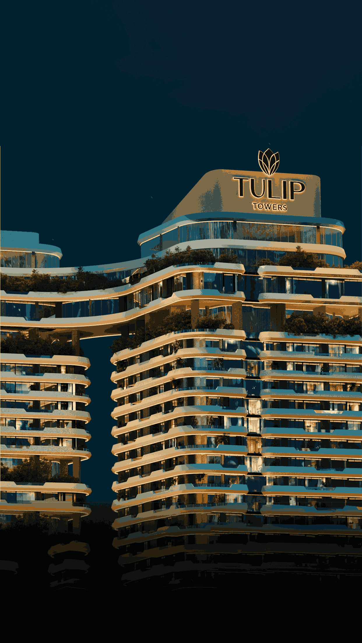 Next Work